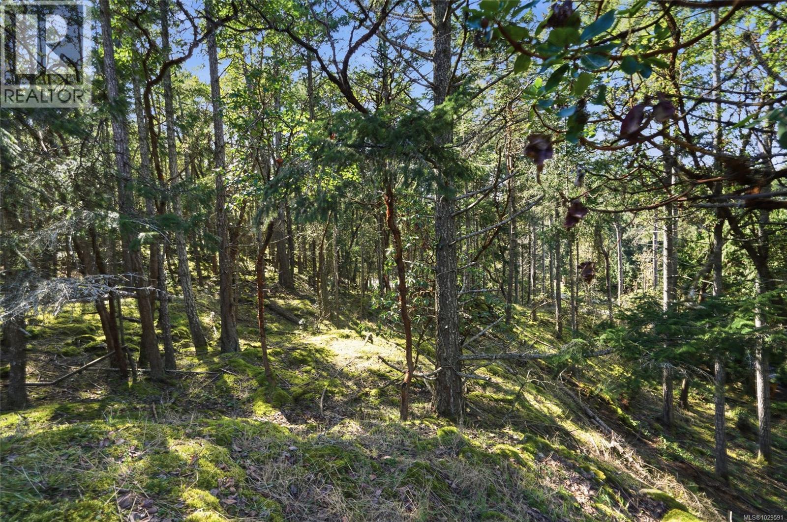 4800 Mcguffie Rd, Nanaimo, British Columbia  V9T 5B3 - Photo 31 - 1029591