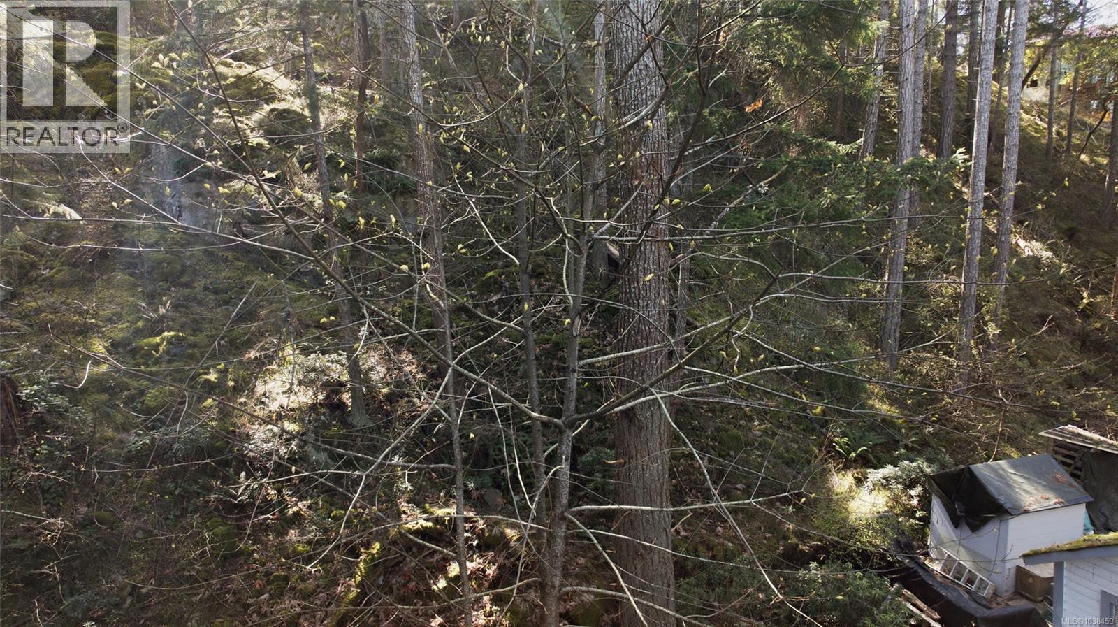 picture 33