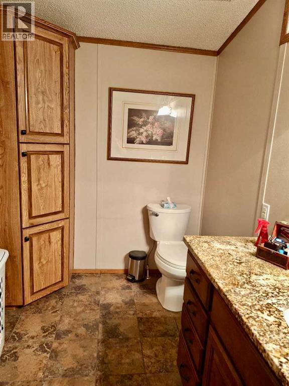 3908 51 Avenue, Provost, Alberta  T0B 3S0 - Photo 13 - A2330859
