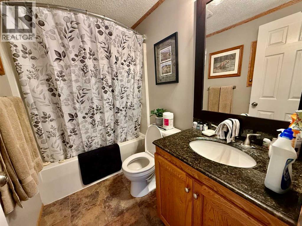 3908 51 Avenue, Provost, Alberta  T0B 3S0 - Photo 9 - A2330859
