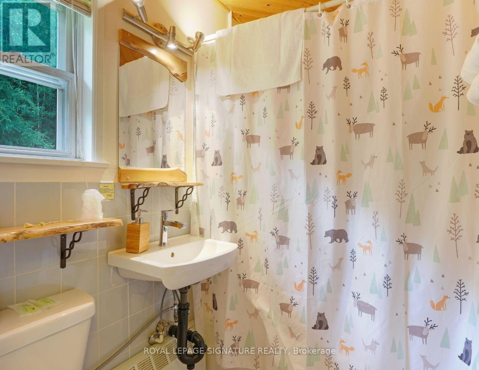 1064 Omagaki Road N, Minden Hills, Ontario K0M 2K0 - Photo 27 - X13619320