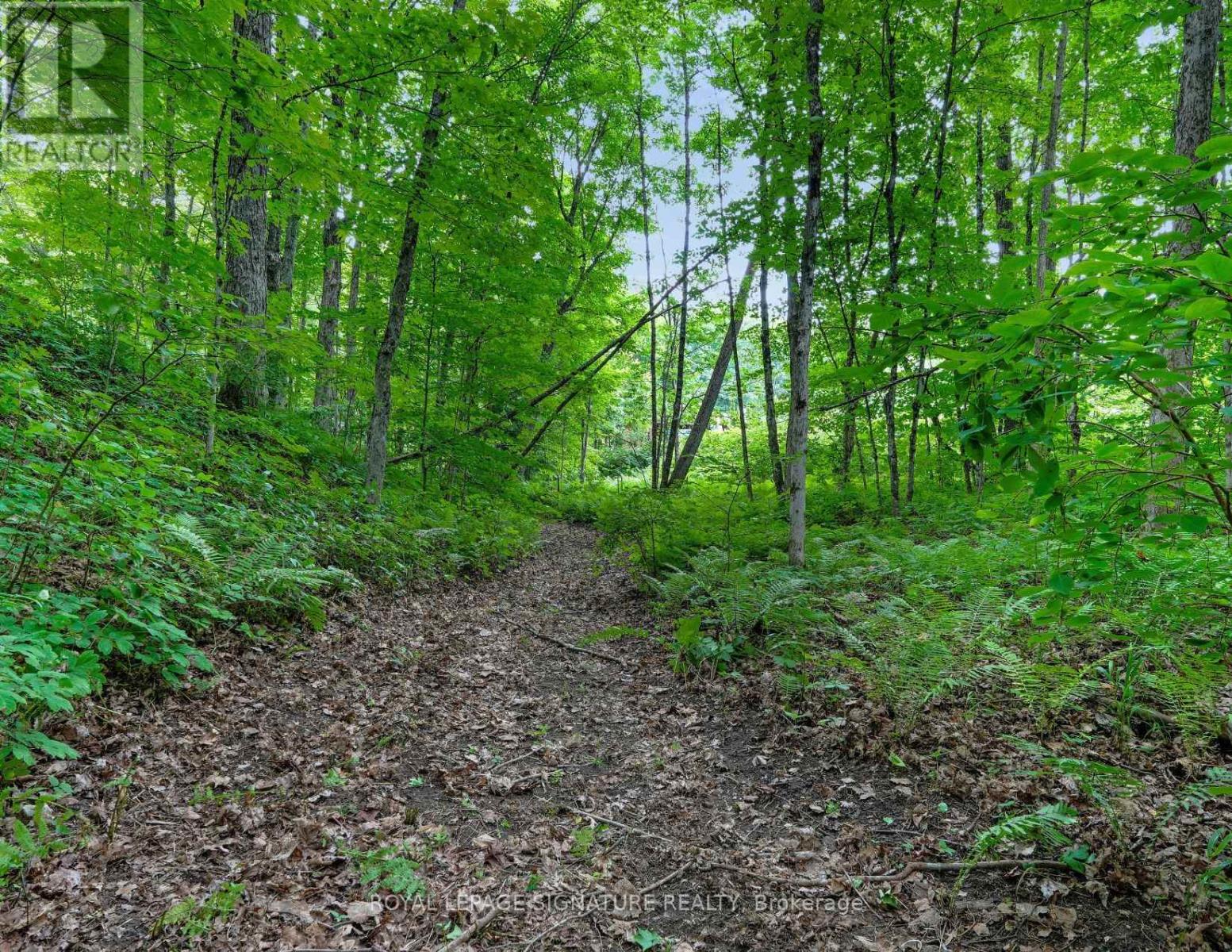 1064 Omagaki Road N, Minden Hills, Ontario K0M 2K0 - Photo 42 - X13619320
