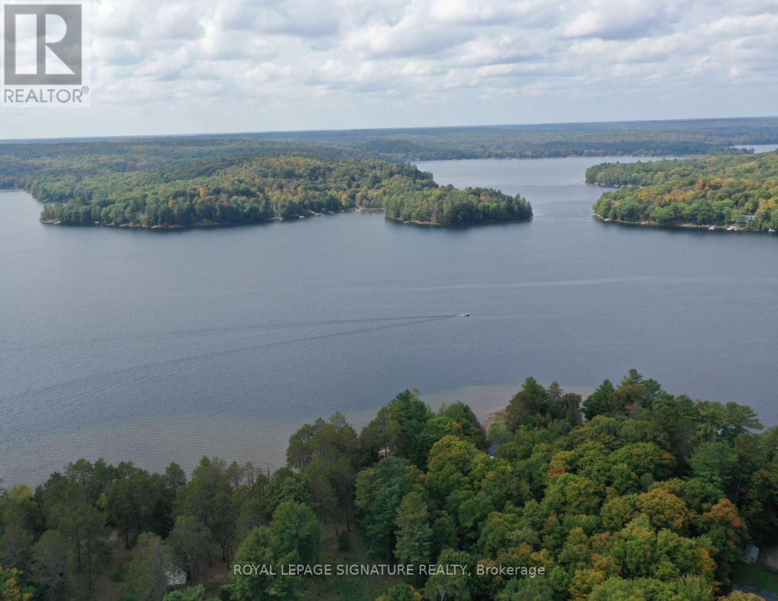 1064 Omagaki Road N, Minden Hills, Ontario K0M 2K0 - Photo 47 - X13619320