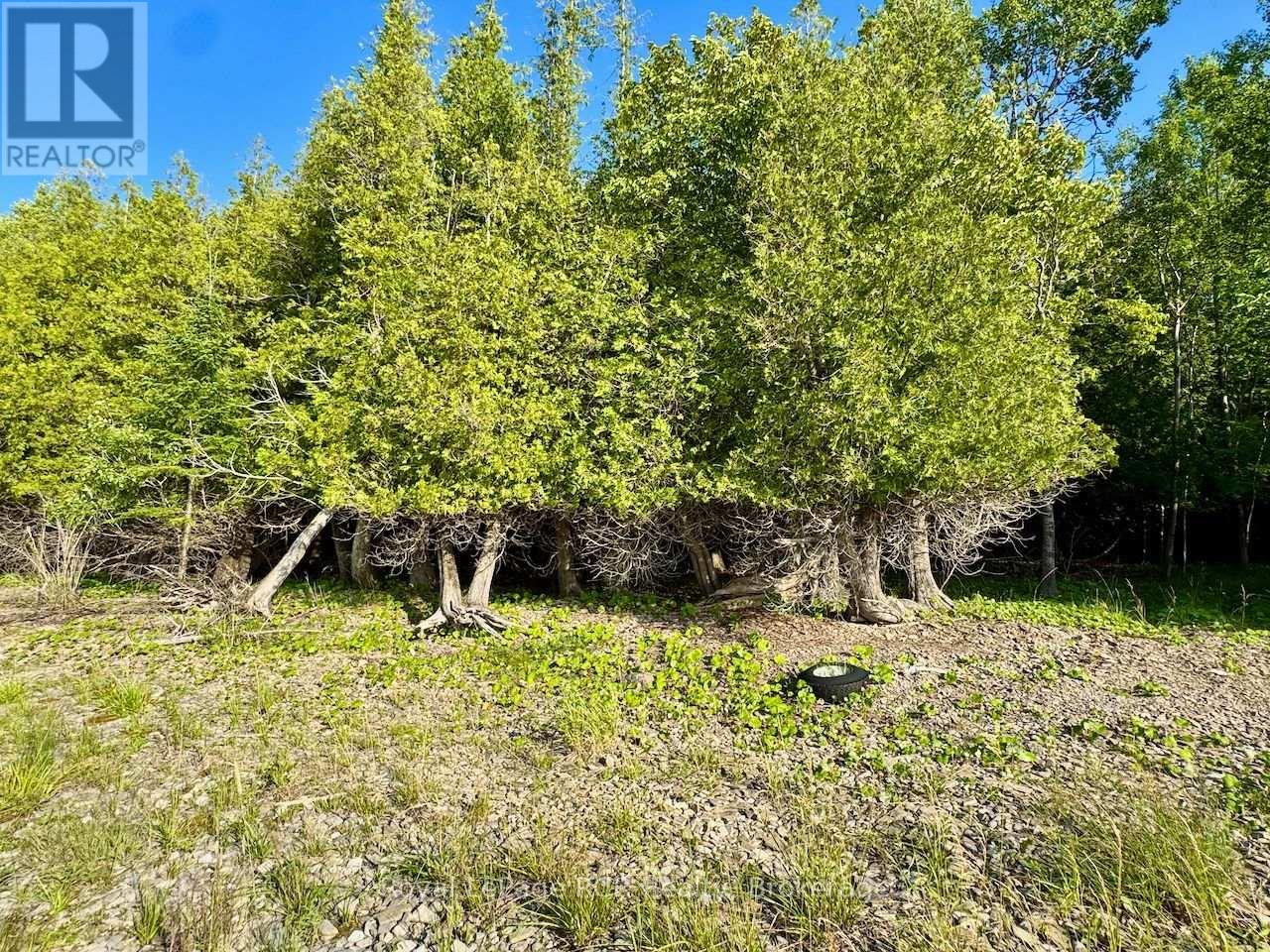 Lot 33 White Cloud Island, Georgian Bluffs, Ontario  N0H 2T0 - Photo 11 - X13619442