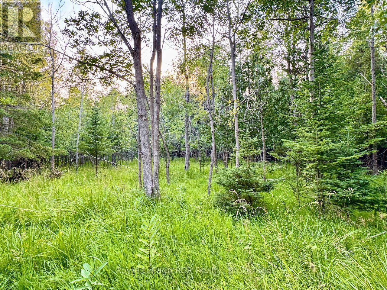 Lot 33 White Cloud Island, Georgian Bluffs, Ontario  N0H 2T0 - Photo 17 - X13619442