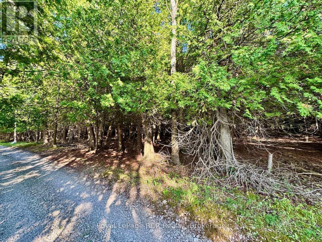 Lot 33 White Cloud Island, Georgian Bluffs, Ontario  N0H 2T0 - Photo 25 - X13619442