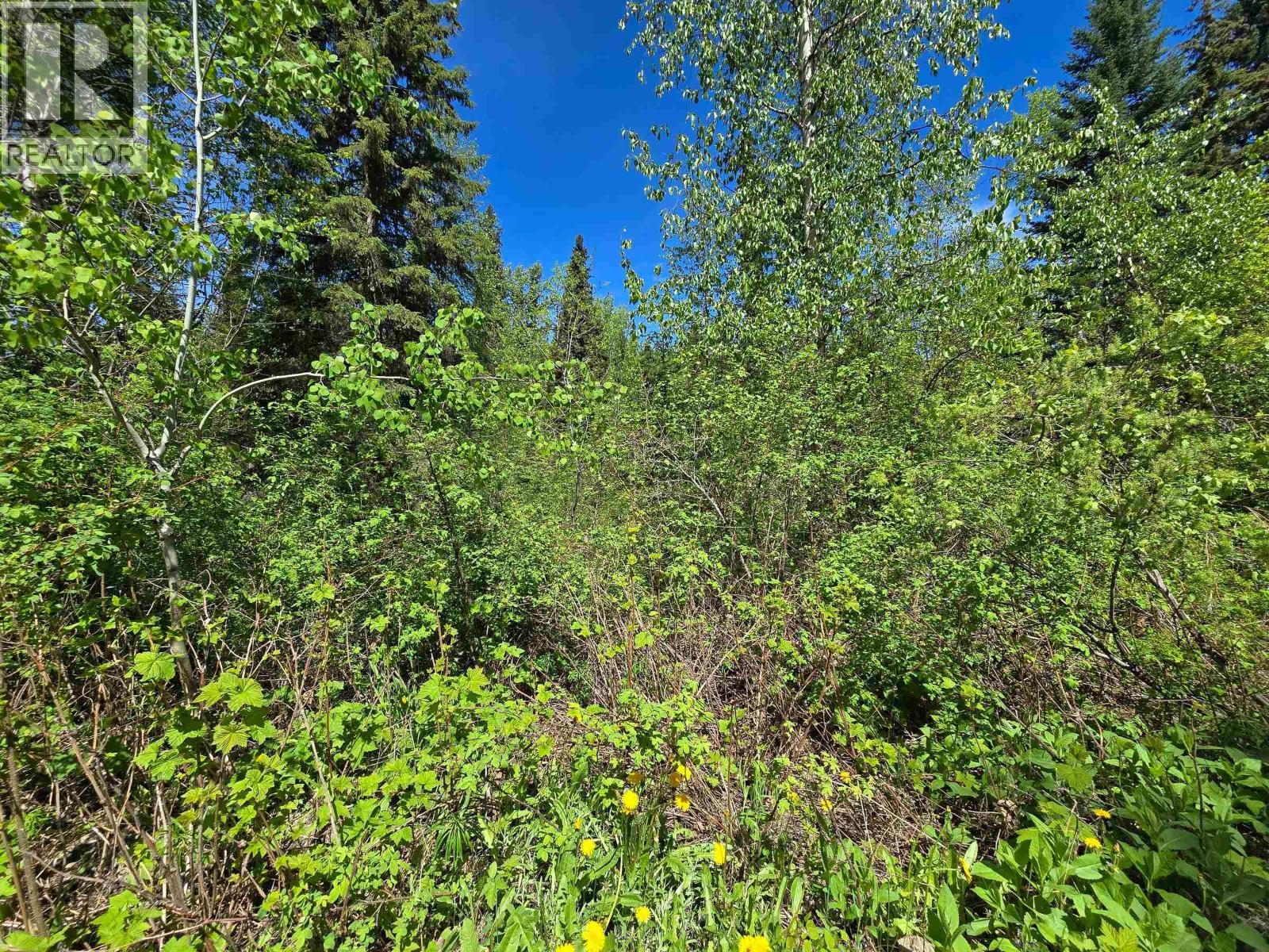 4209 Antoine Lake Road, Horsefly, British Columbia  V0L 1L0 - Photo 35 - R3129979
