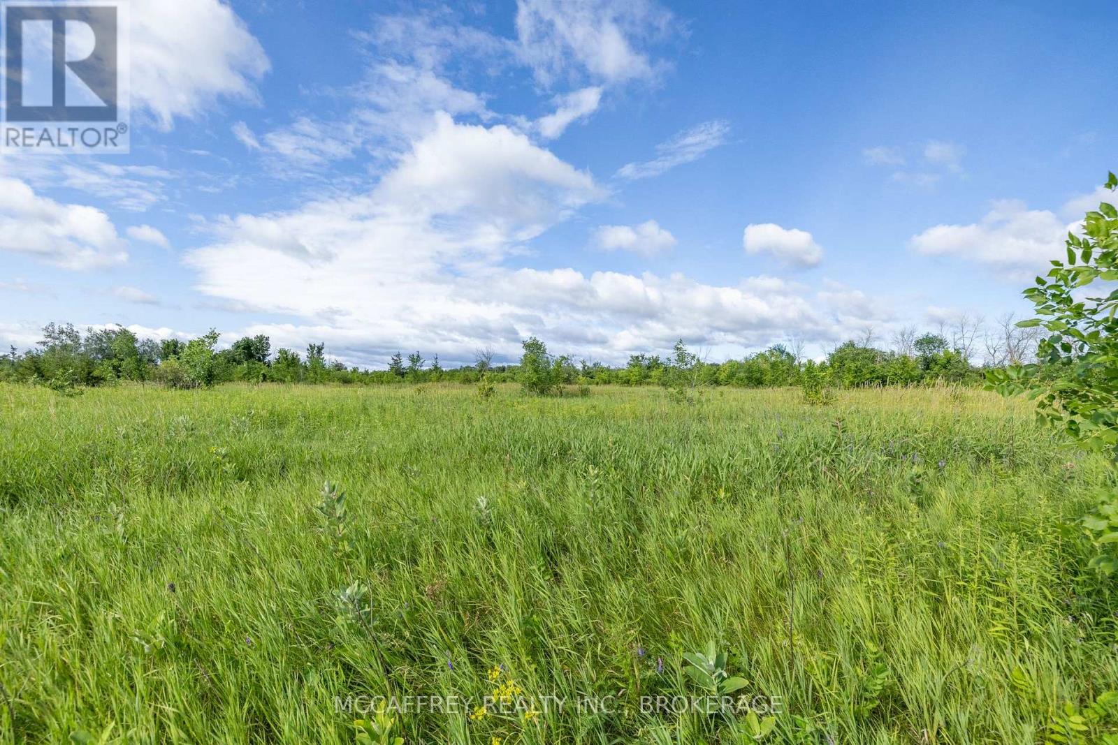 00 County Rd 8, Greater Napanee, Ontario  K7R 3K6 - Photo 10 - X13619722