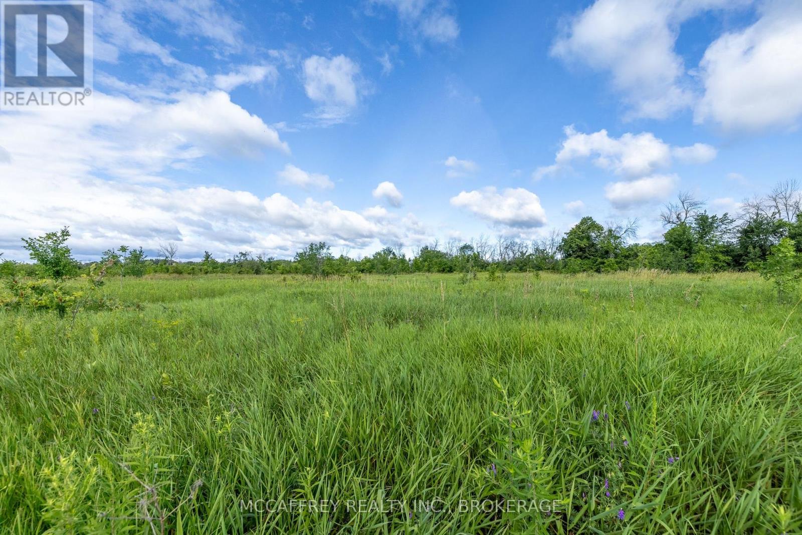 00 County Rd 8, Greater Napanee, Ontario  K7R 3K6 - Photo 8 - X13619722