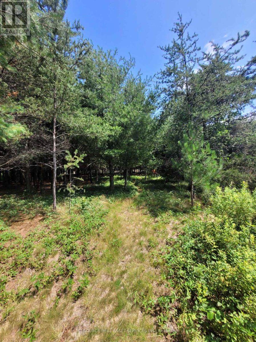 6 Grey Street, Sables-Spanish Rivers, Ontario P0P 2G0 - Photo 2 - X13619744