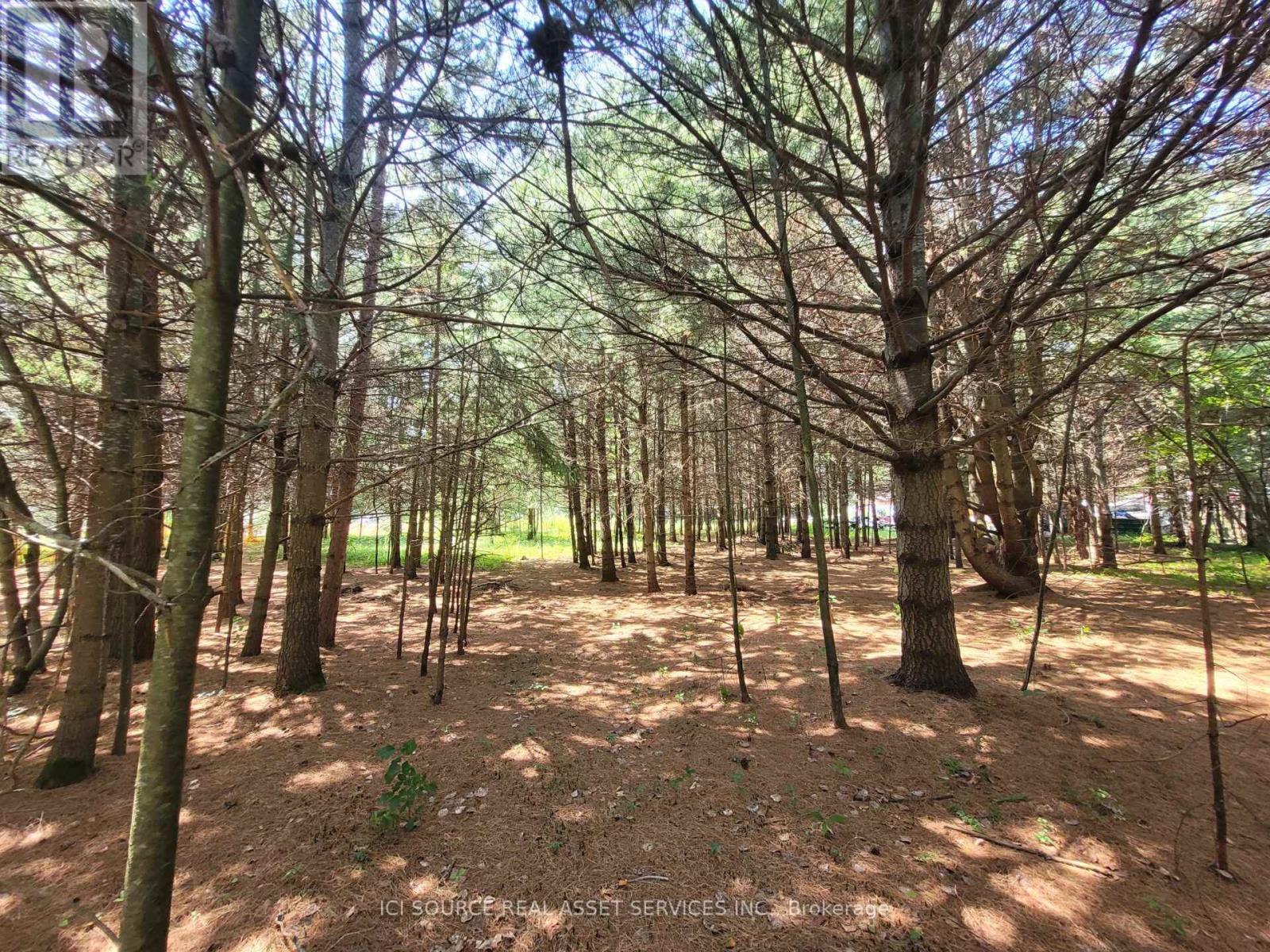 6 Grey Street, Sables-Spanish Rivers, Ontario P0P 2G0 - Photo 3 - X13619744
