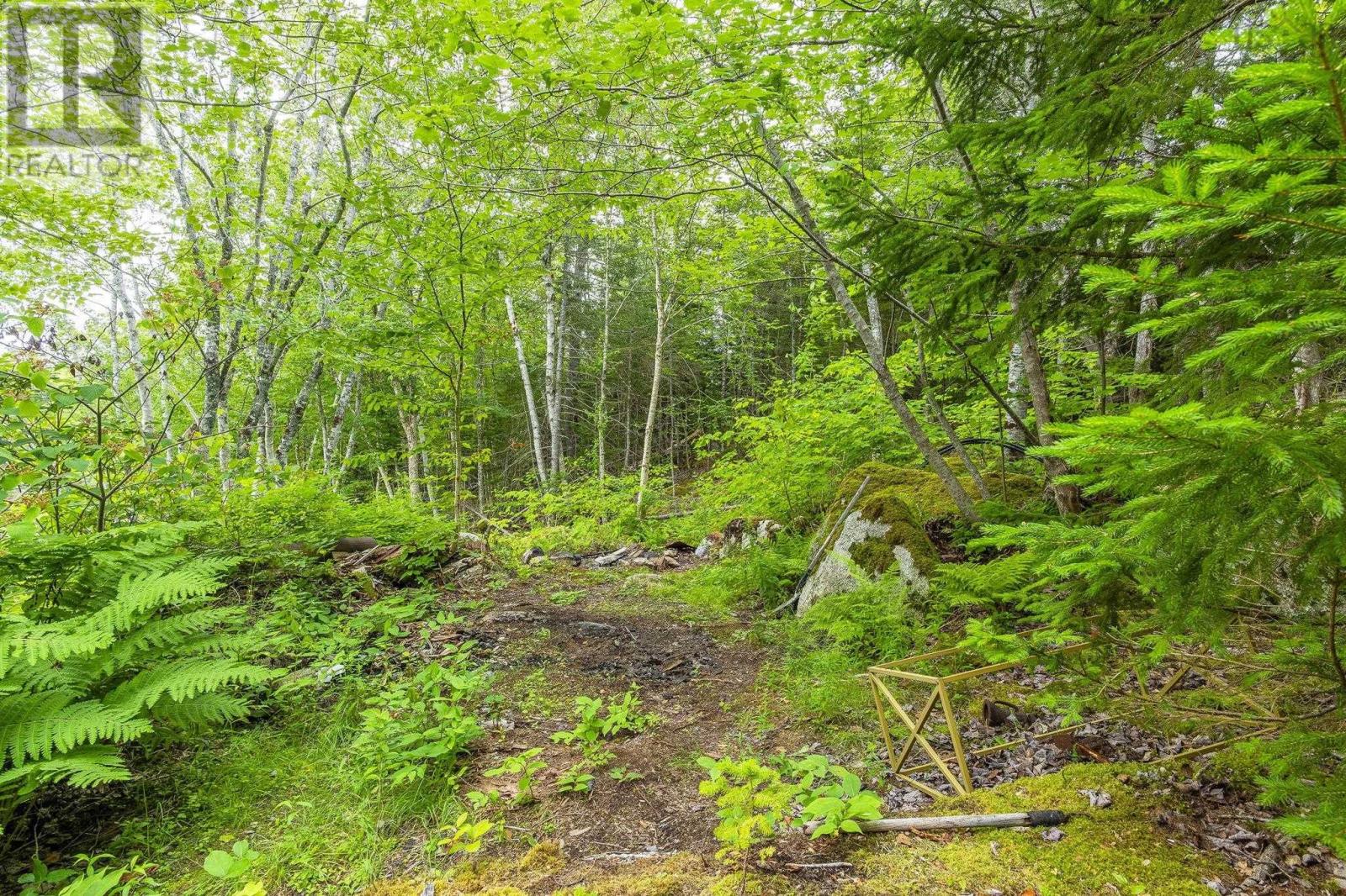 425 Highway 357, Musquodoboit Harbour, Nova Scotia  B0J 2L0 - Photo 19 - 202618985