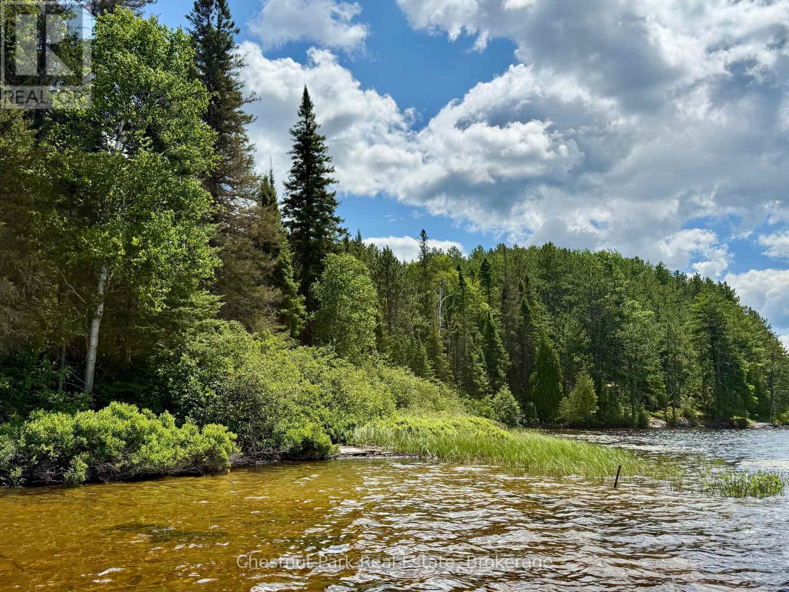 17 WHITEFISH LAKE APL1582, algonquin highlands (lawrence), Ontario