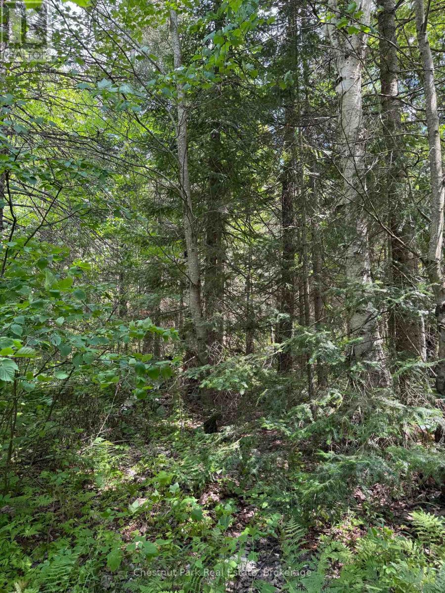 17 Whitefish Lake Apl1582, Algonquin Highlands (Lawrence), Ontario  K0J 2M0 - Photo 30 - X13619908
