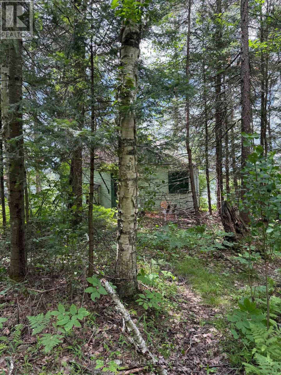 17 Whitefish Lake Apl1582, Algonquin Highlands (Lawrence), Ontario  K0J 2M0 - Photo 31 - X13619908