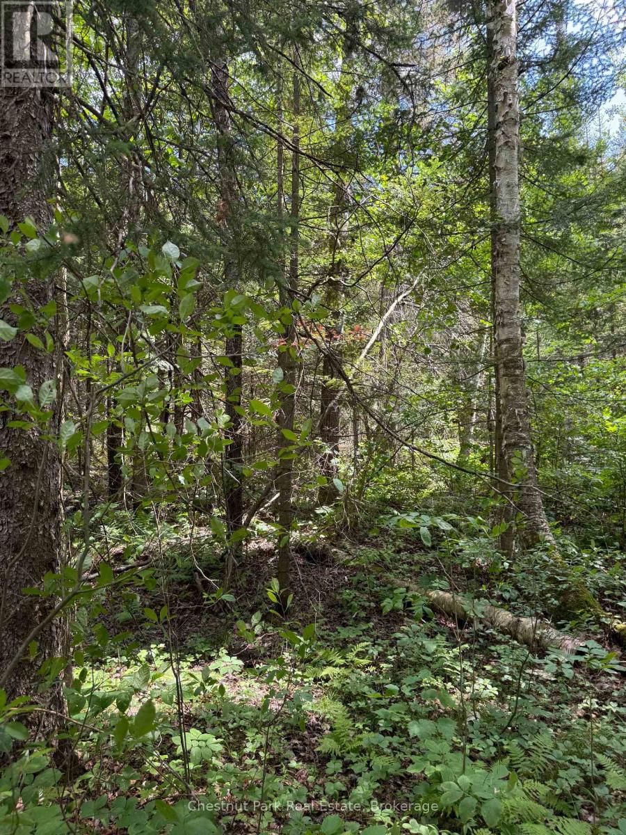 17 Whitefish Lake Apl1582, Algonquin Highlands (Lawrence), Ontario  K0J 2M0 - Photo 32 - X13619908