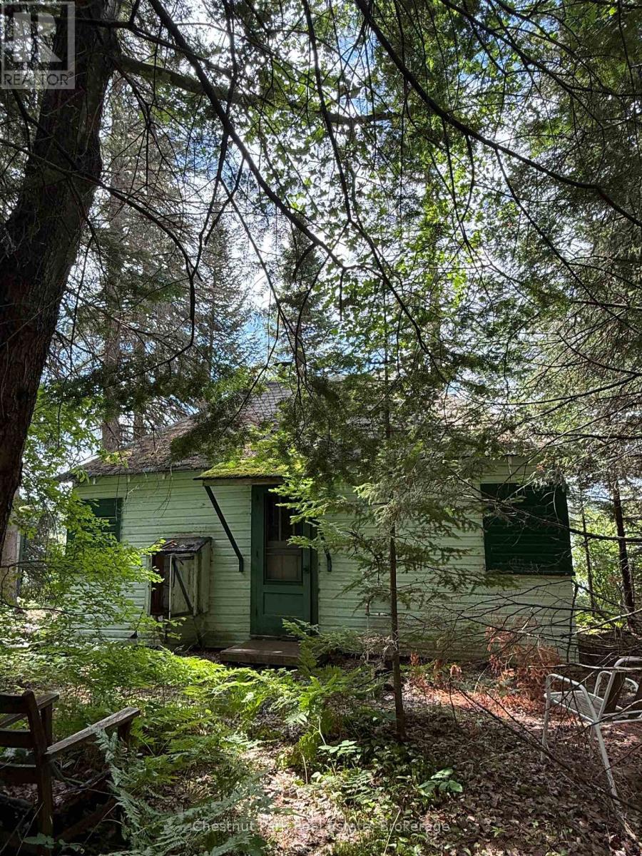 17 Whitefish Lake Apl1582, Algonquin Highlands (Lawrence), Ontario  K0J 2M0 - Photo 33 - X13619908
