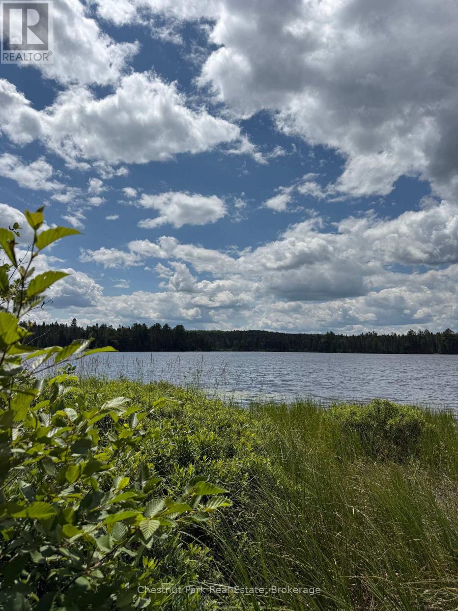 17 Whitefish Lake Apl1582, Algonquin Highlands (Lawrence), Ontario  K0J 2M0 - Photo 34 - X13619908