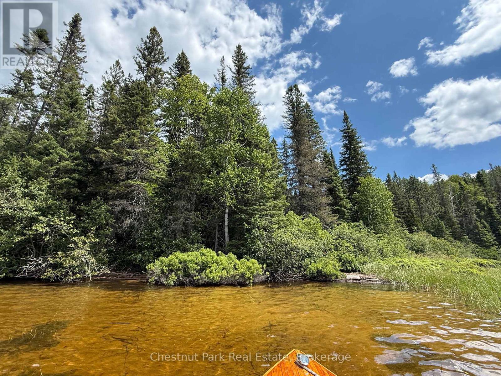 17 Whitefish Lake Apl1582, Algonquin Highlands (Lawrence), Ontario  K0J 2M0 - Photo 37 - X13619908