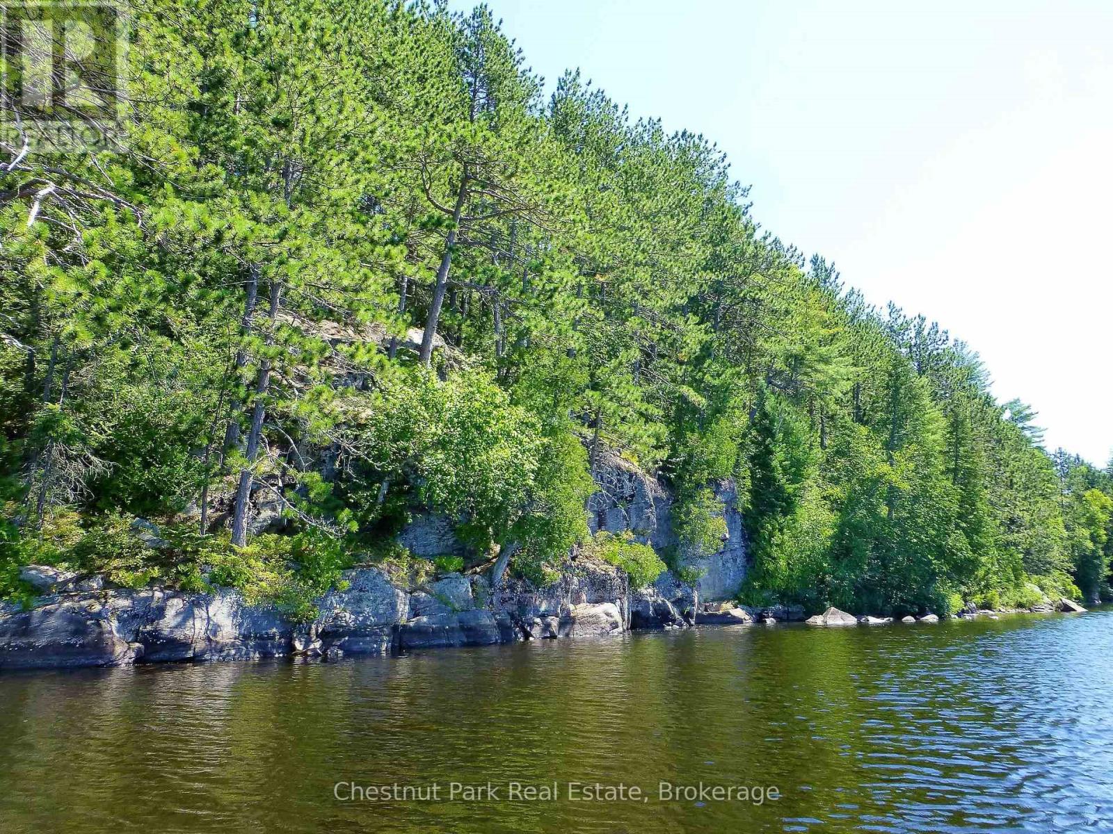 17 Whitefish Lake Apl1582, Algonquin Highlands (Lawrence), Ontario  K0J 2M0 - Photo 39 - X13619908