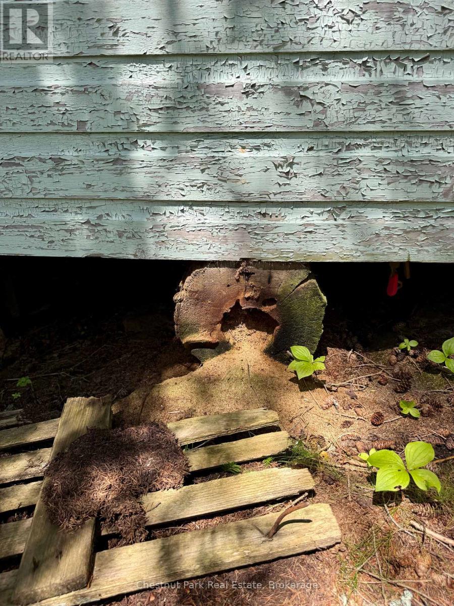 17 Whitefish Lake Apl1582, Algonquin Highlands (Lawrence), Ontario  K0J 2M0 - Photo 50 - X13619908