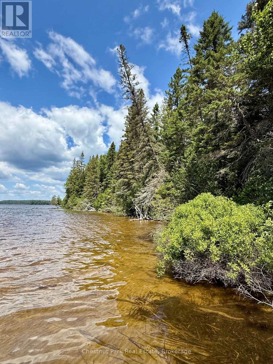 17 Whitefish Lake Apl1582, Algonquin Highlands (Lawrence), Ontario  K0J 2M0 - Photo 7 - X13619908