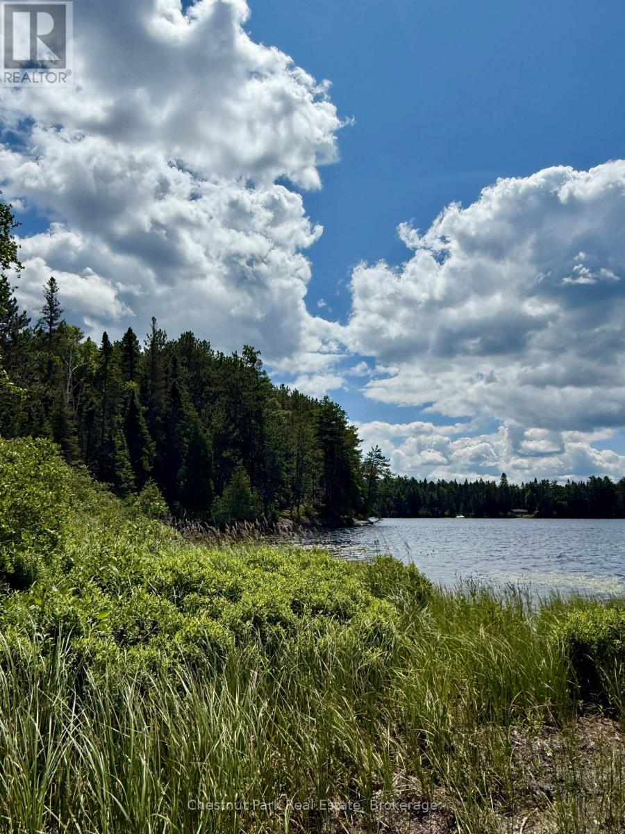 17 Whitefish Lake Apl1582, Algonquin Highlands (Lawrence), Ontario  K0J 2M0 - Photo 8 - X13619908