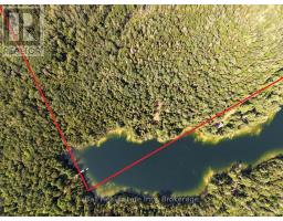 382 OLD DETLOR ROAD, Bancroft, Ontario