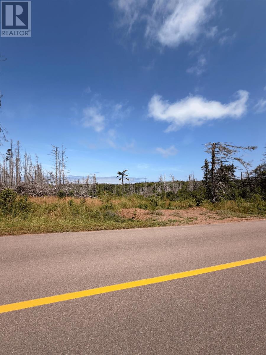 Canavoy Road, Canavoy, Prince Edward Island C0A 1T0 - Photo 7 - 202619079