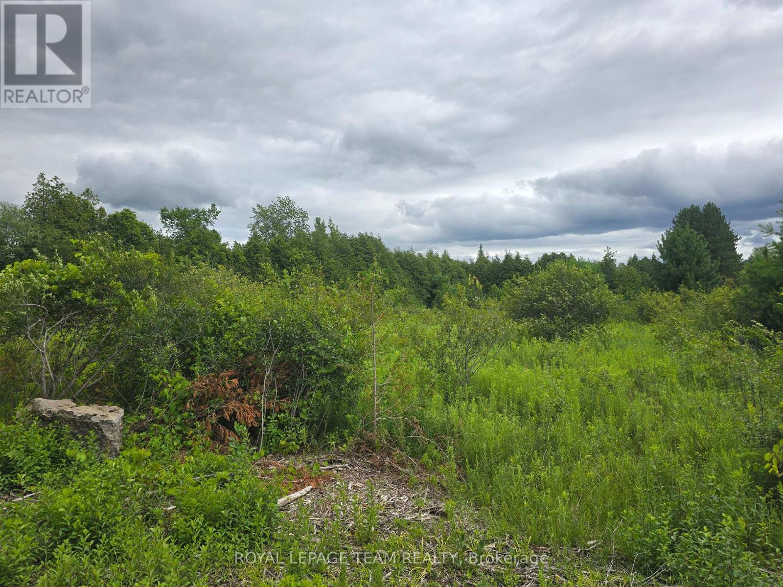 Pt Lt 26 Con 8  Pr116457 Buckwheat Road, Edwardsburgh/cardinal, Ontario  K0E 1X0 - Photo 5 - X13620260