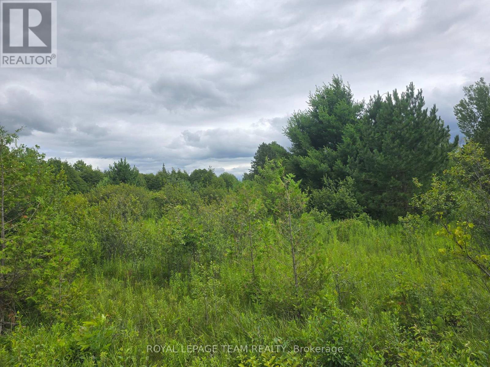 Pt Lt 26 Con 8  Pr116457 Buckwheat Road, Edwardsburgh/cardinal, Ontario  K0E 1X0 - Photo 6 - X13620260