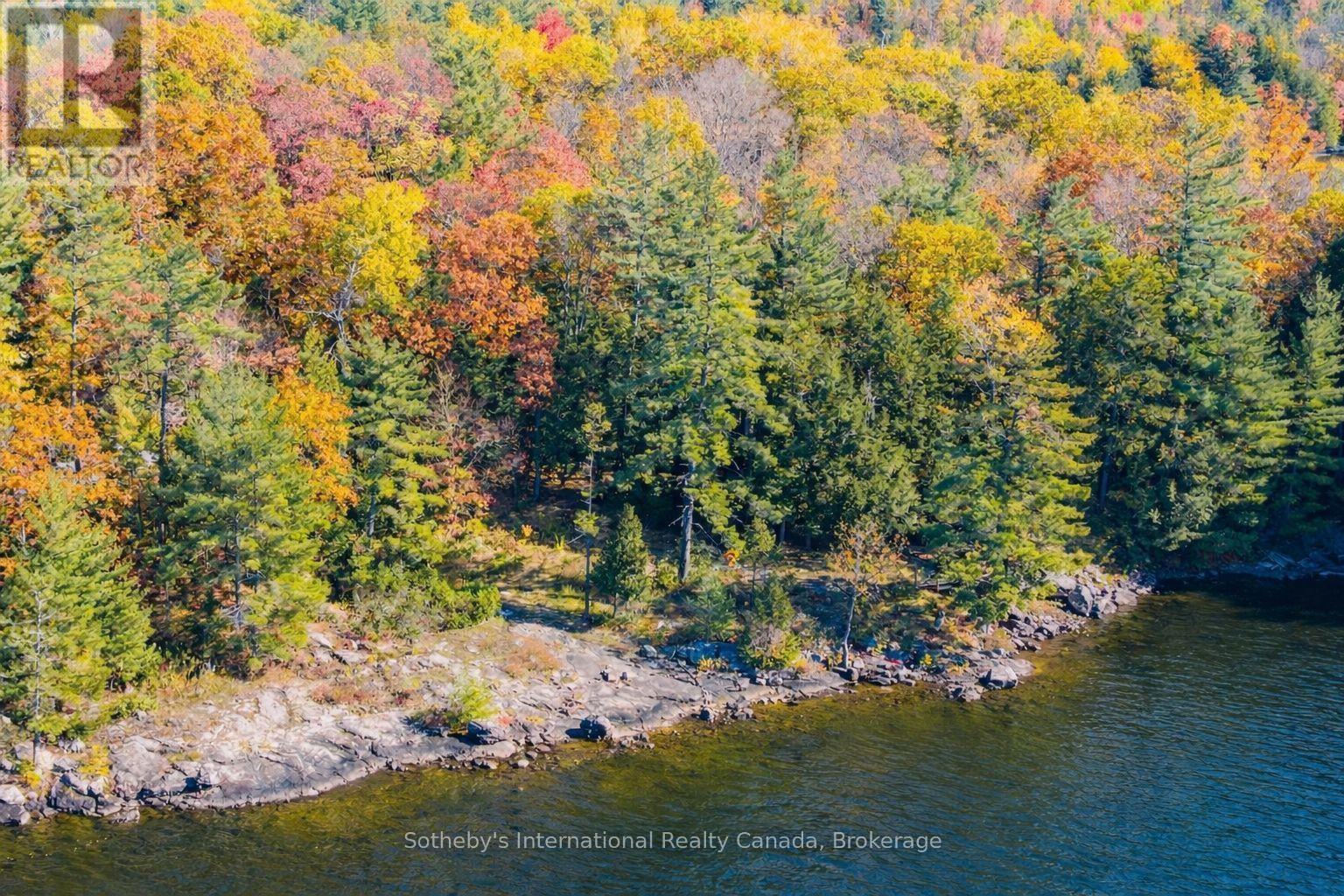 1-1076 Birch Point Road, Gravenhurst, Ontario  P1P 1R1 - Photo 24 - X13123510