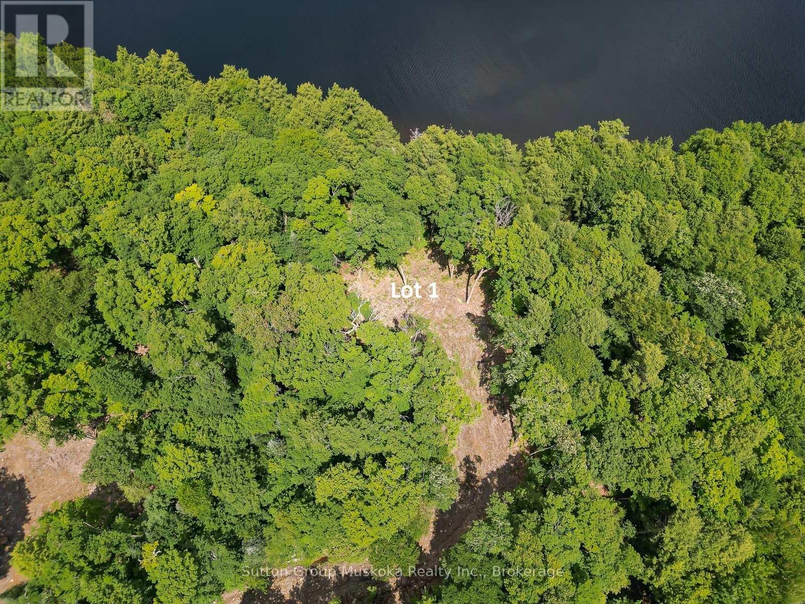 Lot 1 Esig Lane, Lake Of Bays (Sinclair), Ontario  P1H 2J6 - Photo 11 - X13620456