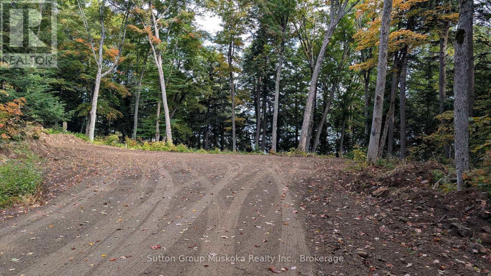 Lot 1 Esig Lane, Lake Of Bays (Sinclair), Ontario  P1H 2J6 - Photo 14 - X13620456
