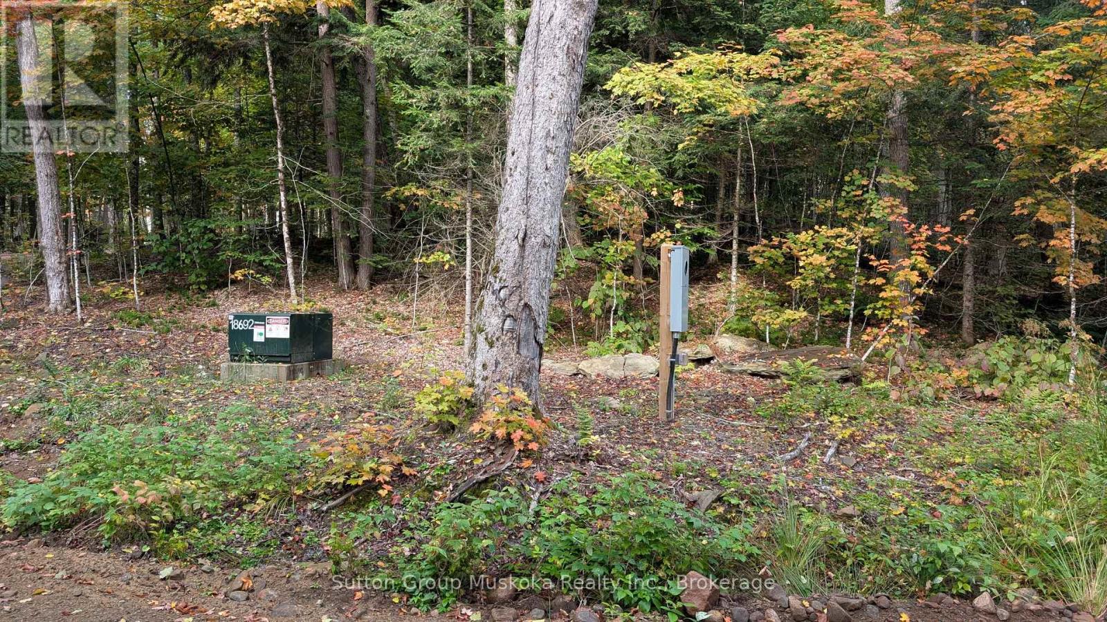 Lot 1 Esig Lane, Lake Of Bays (Sinclair), Ontario  P1H 2J6 - Photo 15 - X13620456