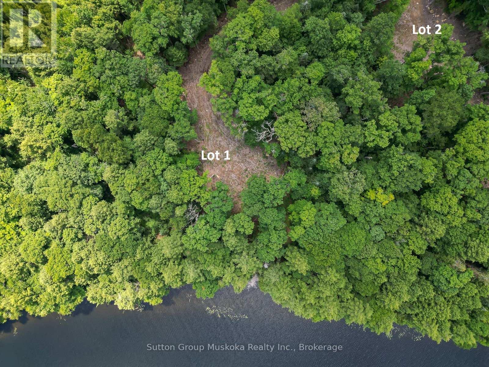Lot 1 Esig Lane, Lake Of Bays (Sinclair), Ontario  P1H 2J6 - Photo 9 - X13620456