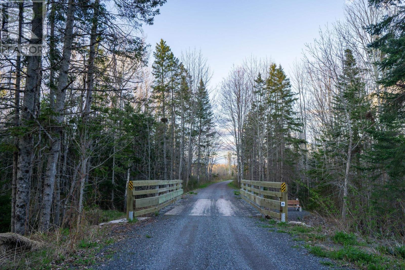 2341 Highway 376 Road, Lyons Brook, Nova Scotia  B0K 1H0 - Photo 40 - 202608825