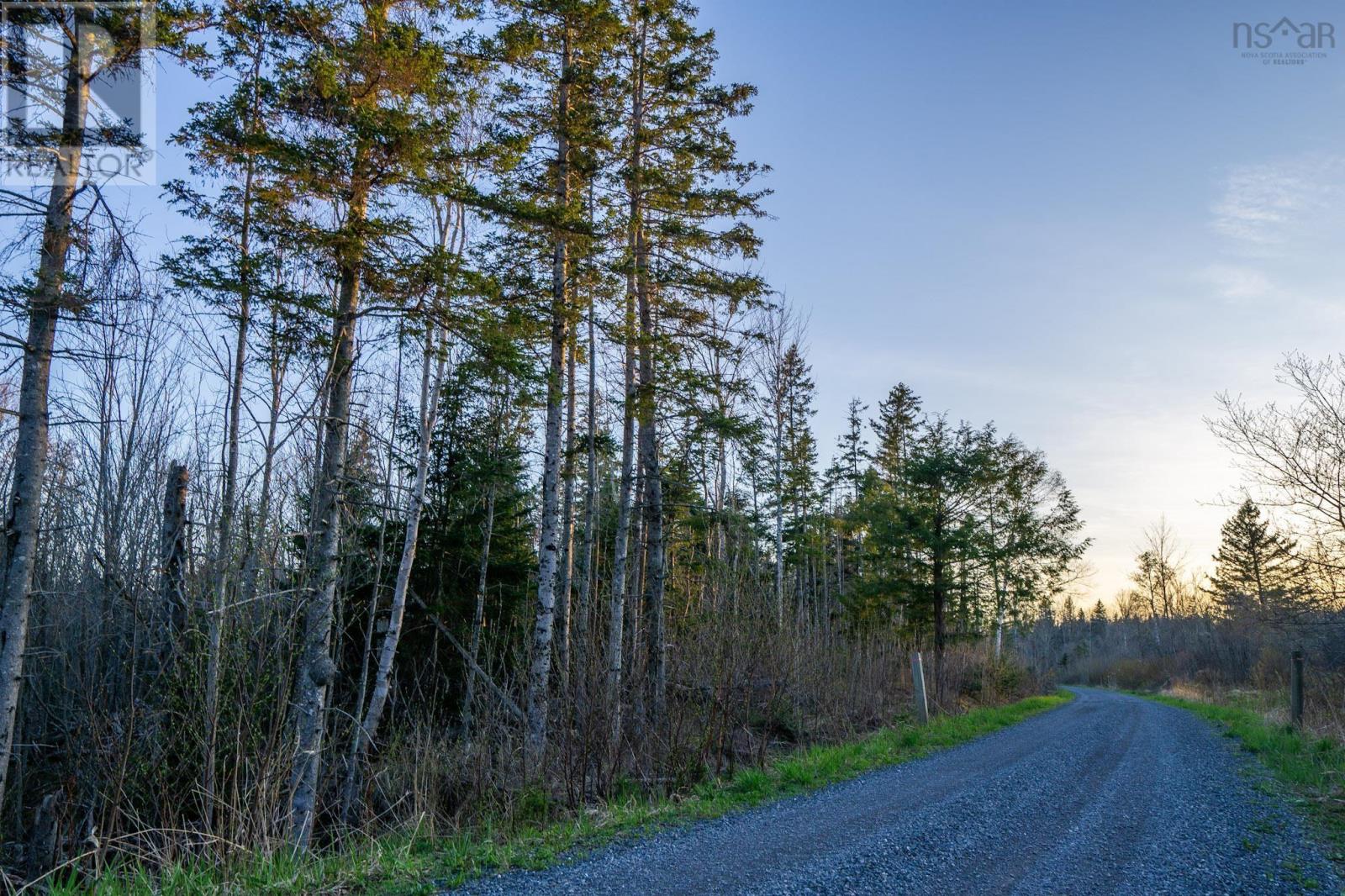 2341 Highway 376 Road, Lyons Brook, Nova Scotia  B0K 1H0 - Photo 44 - 202608825