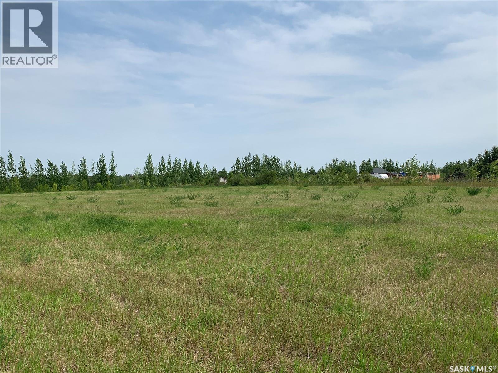 10 Lucien Lakeshore Drive, Three Lakes Rm No. 400, Saskatchewan  S0K 2X0 - Photo 10 - SK044068