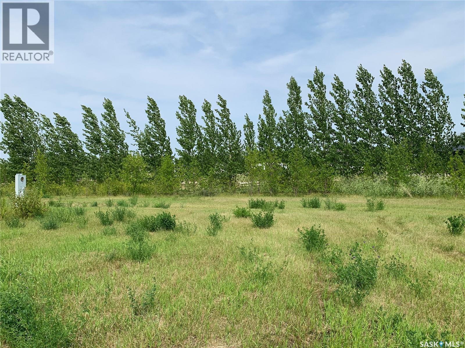 10 Lucien Lakeshore Drive, Three Lakes Rm No. 400, Saskatchewan  S0K 2X0 - Photo 11 - SK044068