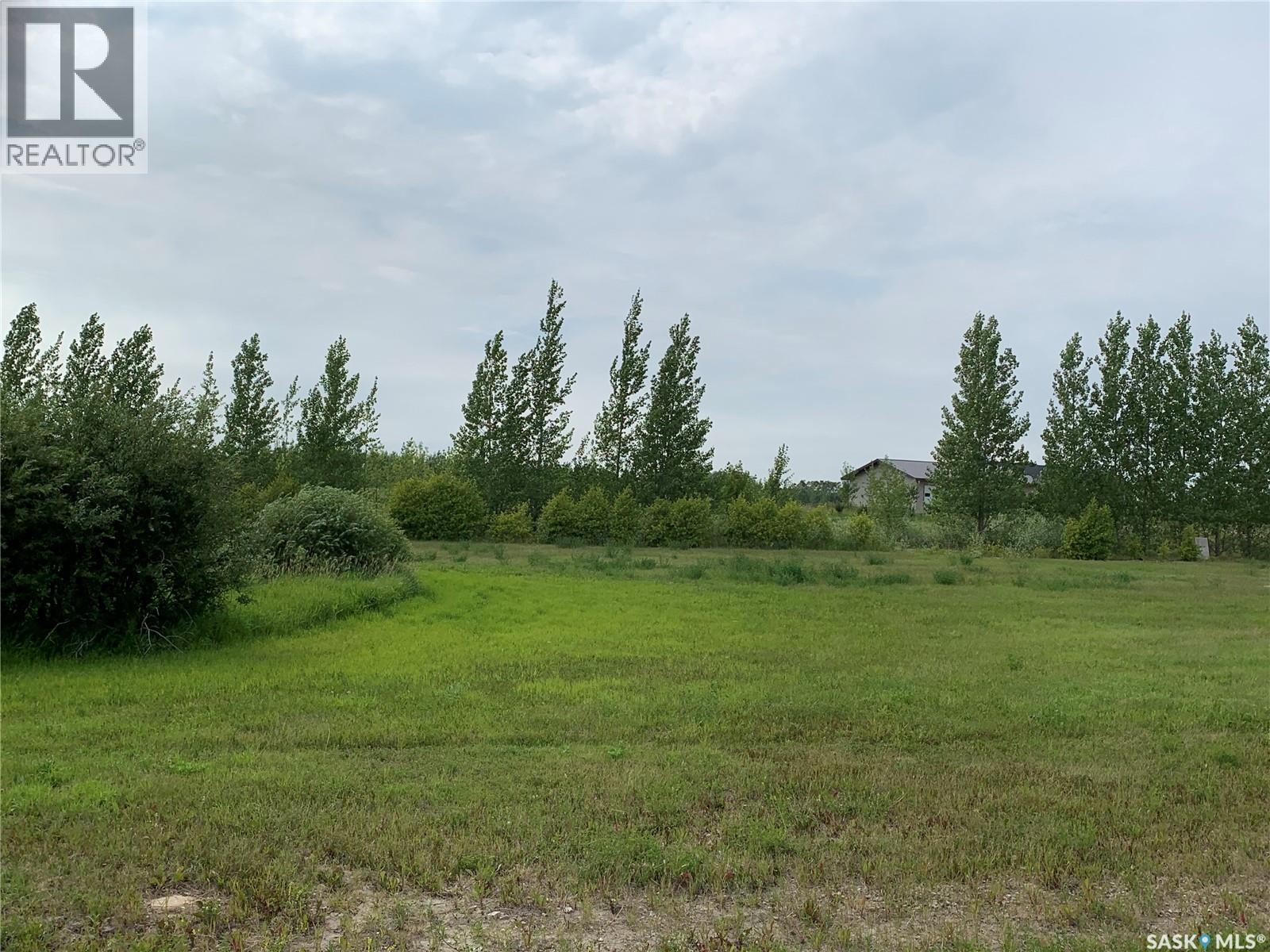 10 Lucien Lakeshore Drive, Three Lakes Rm No. 400, Saskatchewan  S0K 2X0 - Photo 18 - SK044068
