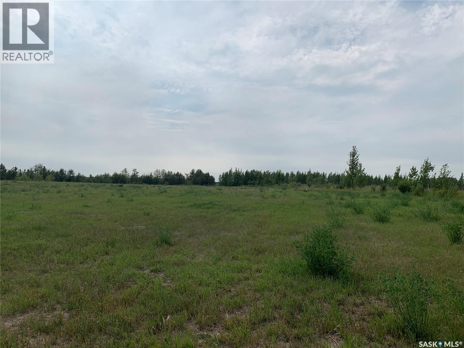 10 Lucien Lakeshore Drive, Three Lakes Rm No. 400, Saskatchewan  S0K 2X0 - Photo 6 - SK044068