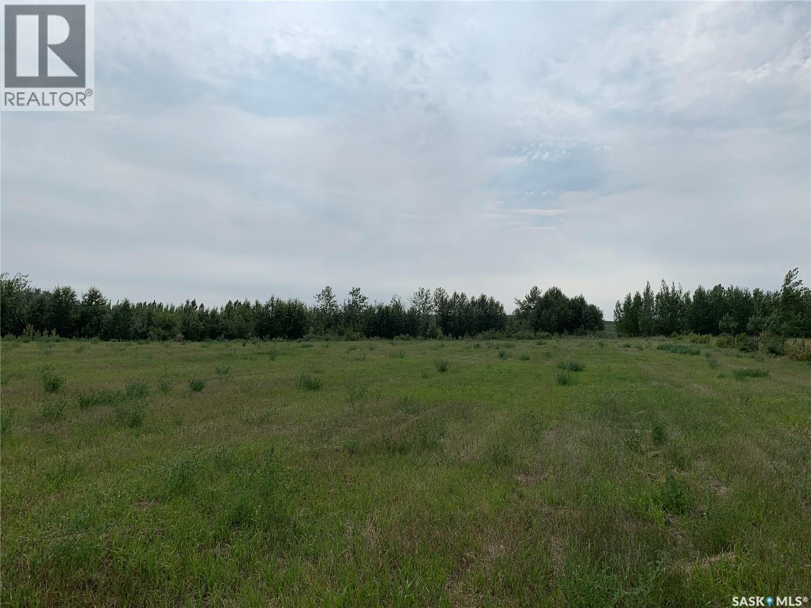 10 Lucien Lakeshore Drive, Three Lakes Rm No. 400, Saskatchewan  S0K 2X0 - Photo 7 - SK044068