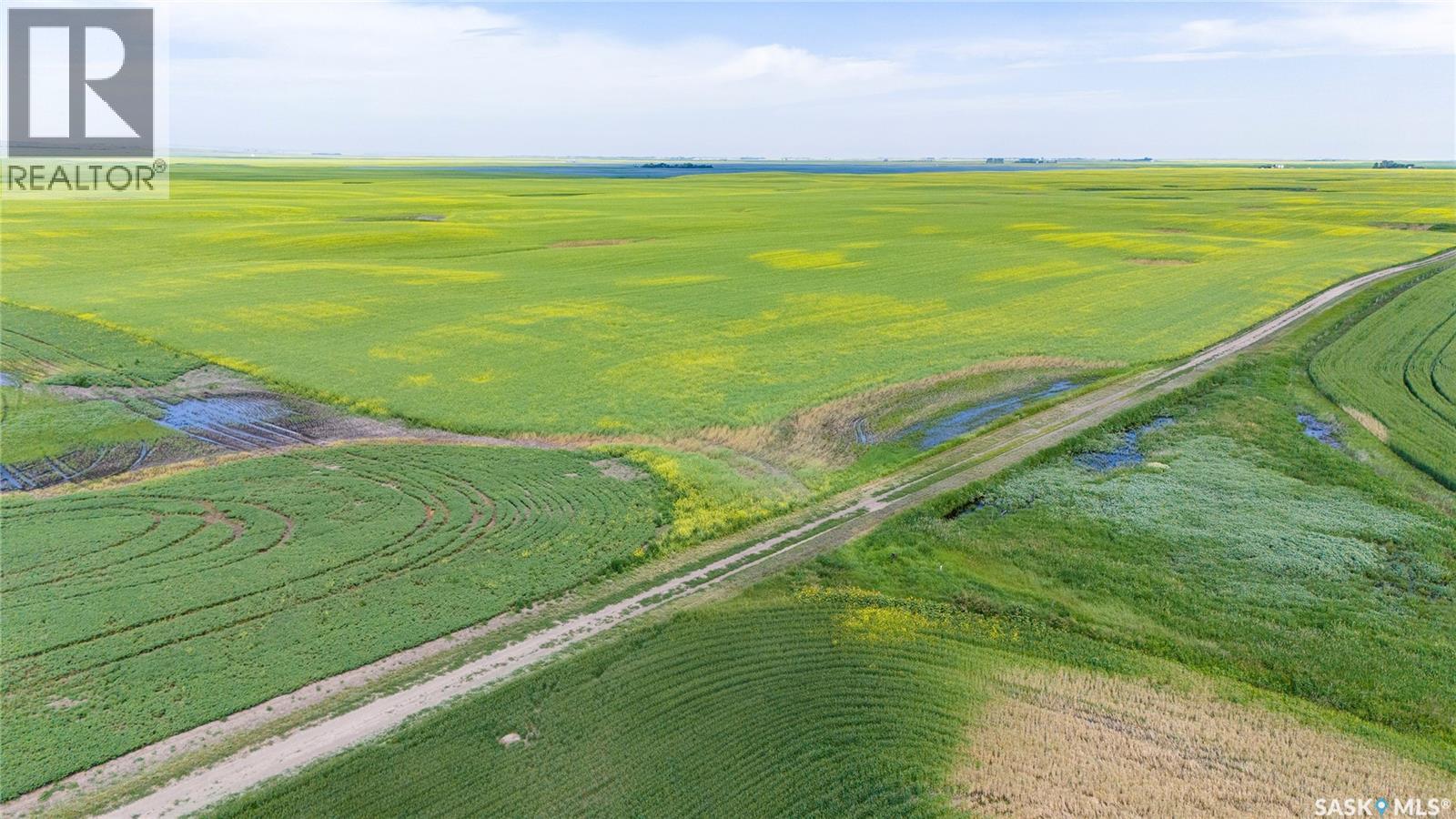 Ne 13-13-25 W2 - Briercrest Area, Baildon Rm No. 131, Saskatchewan  S0H 0K0 - Photo 6 - SK043923