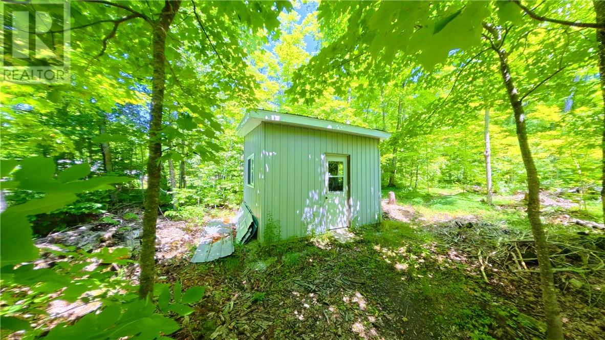 1604 Perivale Road E, Manitoulin Island, Ontario  P0P 2B0 - Photo 45 - 2127315