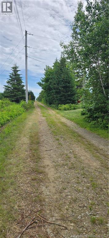 229 Du Parc, Val-Comeau, New Brunswick  E1X 4B6 - Photo 21 - NB139786