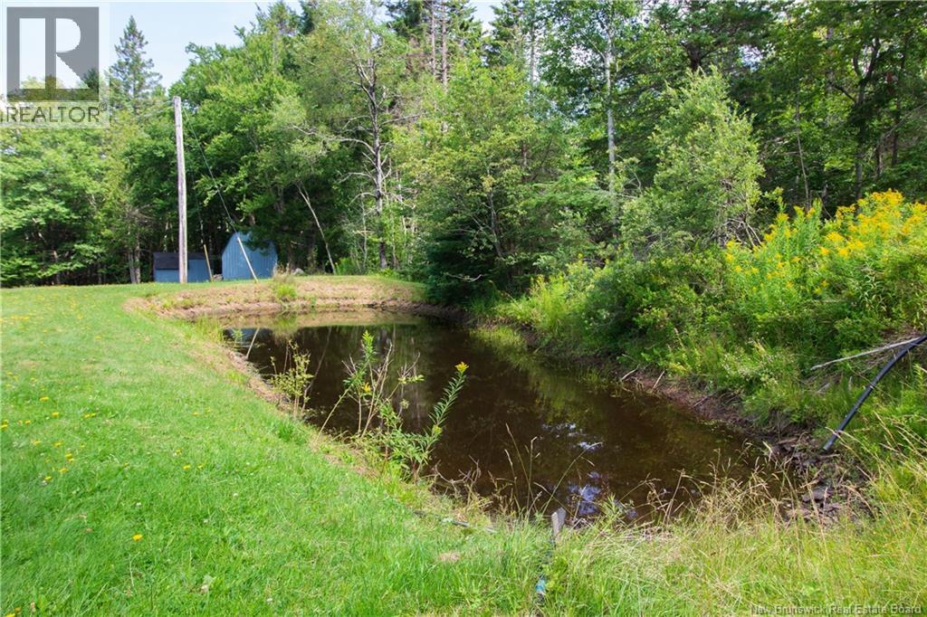49 Pumpkin Hill Road, Nauwigewauk, New Brunswick E5N 8B3 - Photo 22 - NB145016