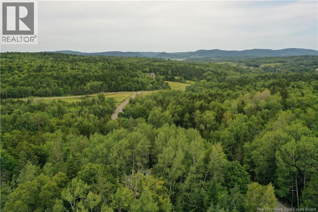 49 Pumpkin Hill Road, Nauwigewauk, New Brunswick E5N 8B3 - Photo 33 - NB145016