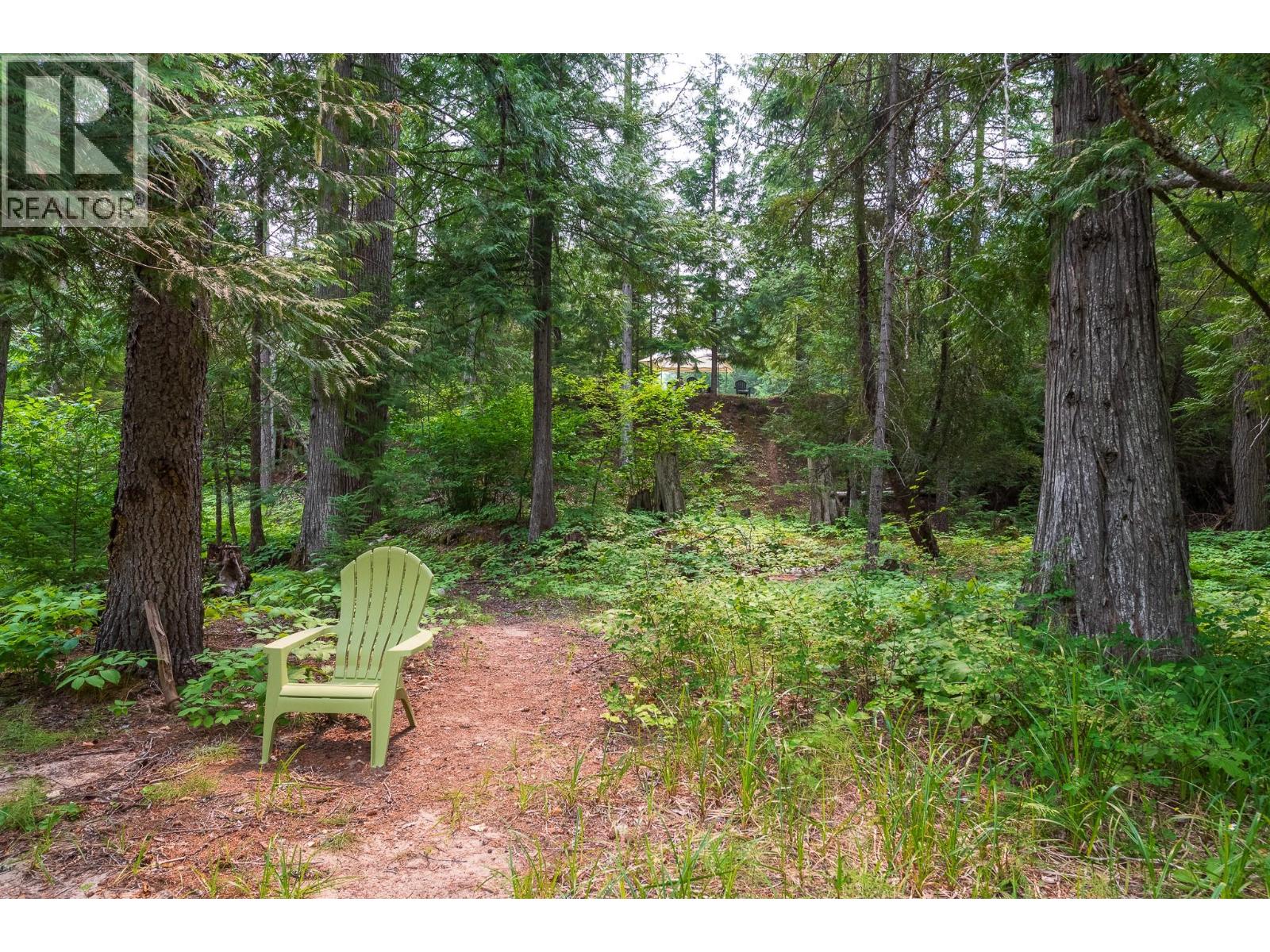 Upper Passmore Rd Road Lot# 4472, Passmore, British Columbia  V0B 2J0 - Photo 2 - 10396187