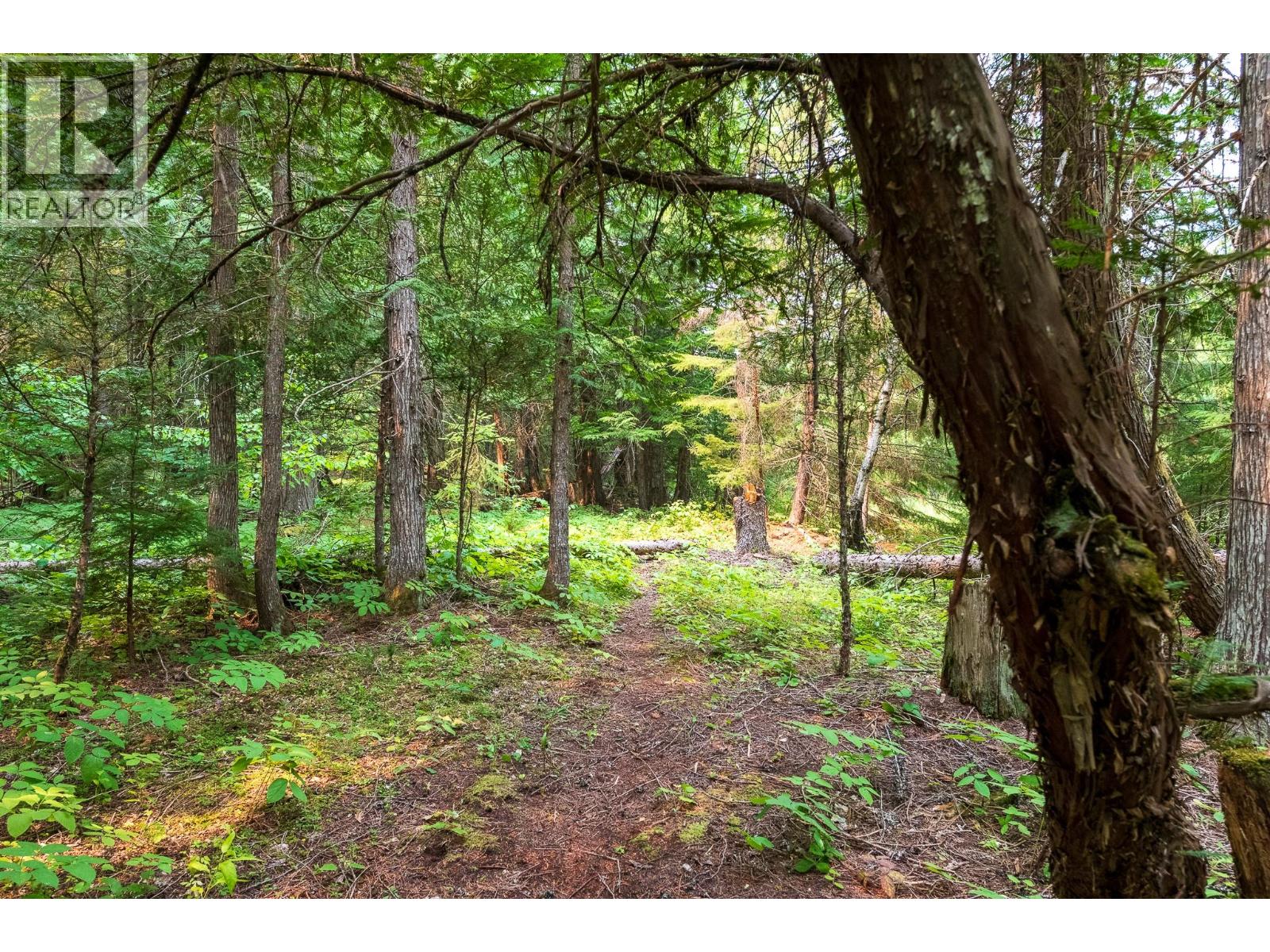 Upper Passmore Rd Road Lot# 4472, Passmore, British Columbia  V0B 2J0 - Photo 14 - 10396187